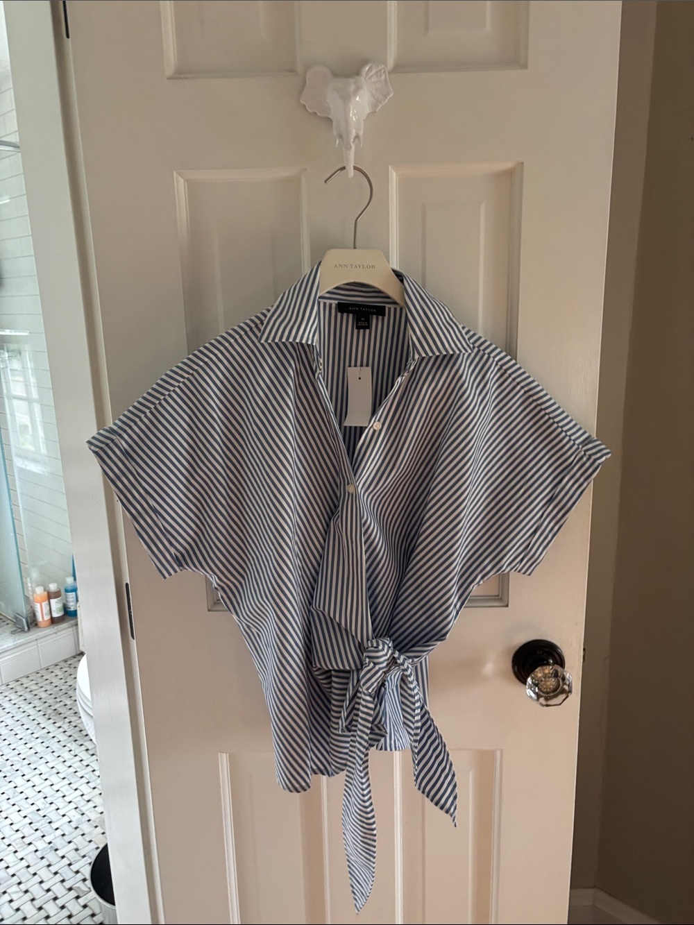 Ann Taylor Blue and White Striped Tie-Front Shirt
